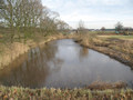 Referenz Landschaftspflegerische Ausfhrungsplanung, Landkreis Elbe-Elster, Kompensationsmaßnahmen