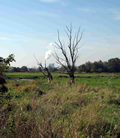 Referenzen Landschaftspflegerische Ausfhrungsplanung, Saalekreis, ICE-Neubaustrecke Erfurt-Halle/Leipzig