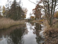 Referenz Ökologische Baubegleitunmg und ökologische Bauüberwachung, Landkreis Elbe-Elster, Kompensationsmaßnahmen Referenz Ökologische Baubegleitunmg und ökologische Bauüberwachung, Landkreis Elbe-Elster, Kompensationsmaßnahmen