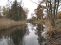 Referenz kologische Baubegleitunmg und kologische Bauberwachung, Landkreis Elbe-Elster, Kompensationsmaßnahmen